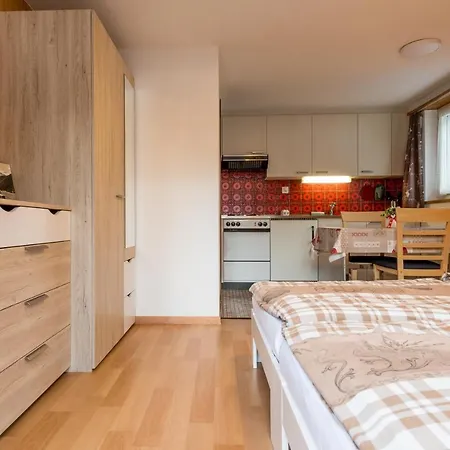 Haus Alpenblick 公寓